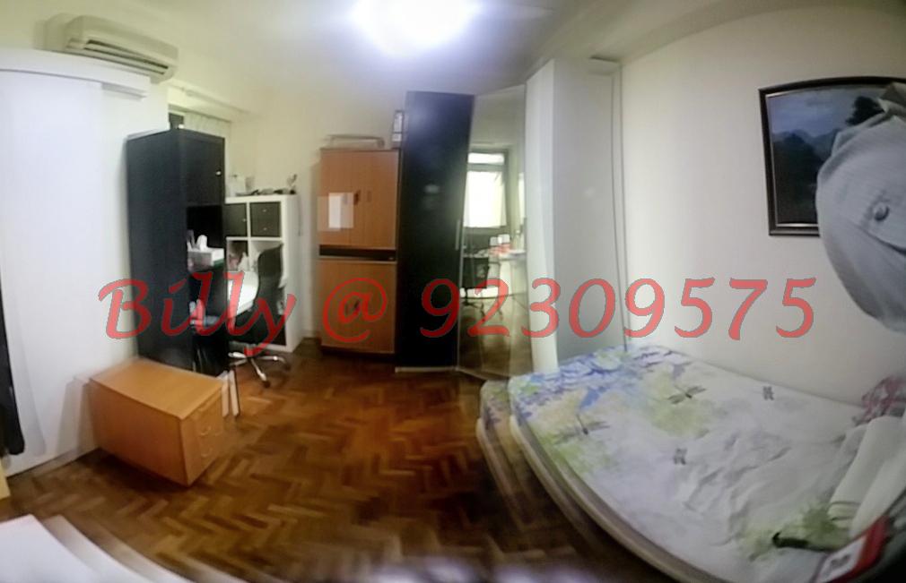 The Tanamera (D16), Condominium #96348172